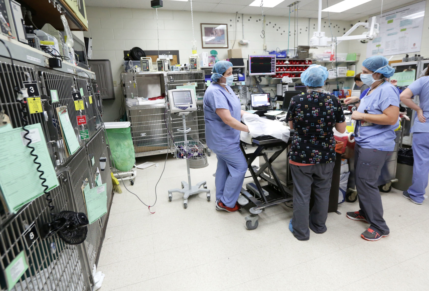 Vet Med technicians